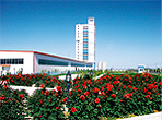 Gansu Dunhuang Seed Fruit & Vegetable Products Co.,Ltd